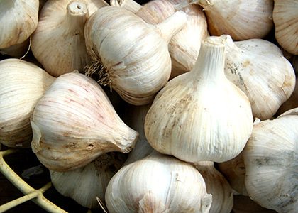 immune boosting foods for winters garlic tangylife
