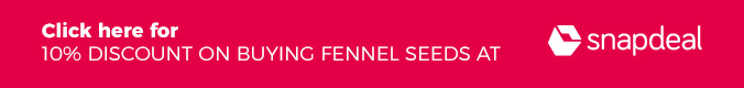 buy fennel seeds from snapdeal - tangylife blog