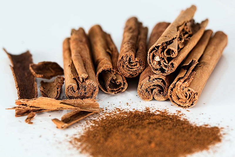 benefits of cinnamon - tangylife