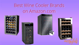best wine cooler brands on amazon - tangylife