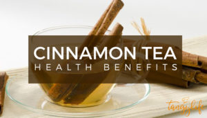 cinnamon-tea-benefits-uses-tangylife-blog