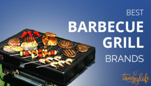 best barbecue grill brands tangylife